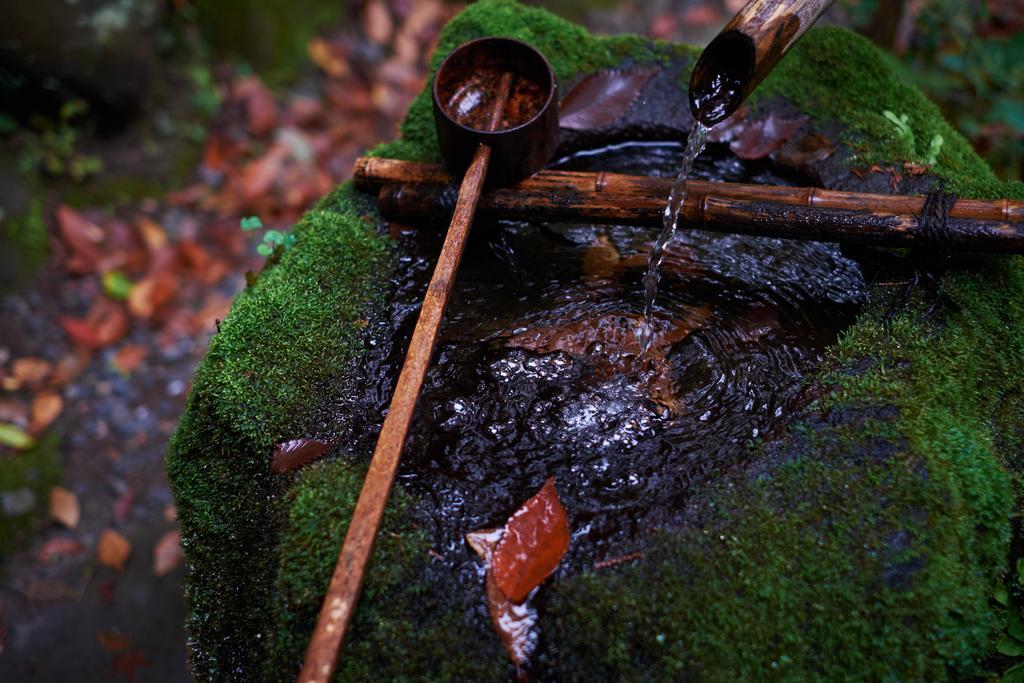 Kansuiro Annex Hakone Bagian luar foto